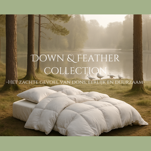 Down & Feather